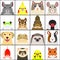 Set of various pet animals face