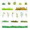 Set of Various Plant Elements Grass, Bushes, Stems, Watercolor Hand Drawn and Painted