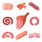 Set of various sausages, gastronomic meat products, bacon, sausage, chicken wings, ham, salami cartoon vector