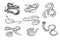 Set of various snake viper, cobra and other. Black and white hand drawn collection serpent. Vector illustration.