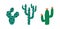 Set of various spiny desert plants or cactuses with thorns. Exotic cacti with spines and blossomed flowers. Colored flat