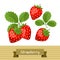 Set of various stylized strawberries.