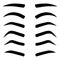 Set of various types eyebrows isolated