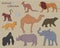 Set of Various Wild Animals Vector Illustration