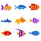 Set of vector aquarium fish silhouette illustration. Water icon. Underwater ocean fauna. Colorful cartoon flat aquarium fish icon