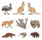 Set of vector Australian animals