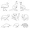 Set of vector Australian animals in contours