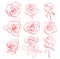 Set of vector beautiful red roses - contours