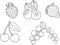 Set of vector berries including vector raspberry, blueberry, fresh strawberry, juicy cherry, gooseberry. Coloring book black and w