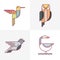 Set of vector birds logo icons. Colorful line birds illustration of hummingbird, owl, pigeon and swan.