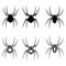 Set of vector black silhouette spider icon isolated on white background.