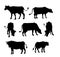 Set of vector black silhouettes of domestic farm cattle - cows, calves and bulls