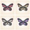 Set of vector butterflies. Elegant insects. Entomological collection of detailed hand drawn butterflies