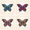 Set of vector butterflies. Elegant insects. Entomological collection of detailed hand drawn butterflies