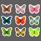 Set of vector butterflies stickers