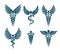 Set of vector Caduceus symbols created using bird wings and snakes.