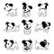 Set of vector cartoon character jack russell terrier dog poses