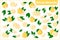 Set of vector cartoon illustrations with Citrus sweetie exotic fruits, flowers and leaves isolated on white background