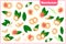 Set of vector cartoon illustrations with Rambutan exotic fruits, flowers and leaves isolated on white background