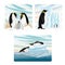 A set of vector compositions with realistic Emperor Penguins in the North.