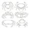 Set of vector crab icons