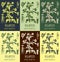 Set of vector drawings of BEGGARTICKS TRIFID BUR-MARIGOLD in different colors. Hand drawn illustration. Latin name BIDENS