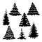 Set of vector drawings, different fir trees in black color