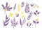 A set of vector elements with purple and yellow leaves, abstract flowers, twigs in a flat handmade style