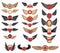 Set of the vector emblems with wings