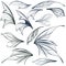 Set of vector filigree fairy wings for design