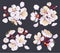 Set of vector floral compositions.