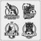 Set of vector football and soccer badges, labels and design elements. Sport club emblems with grizzly bear, panther, coyote, eagle