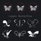 Set of vector graphic abstract vector logos of butterflies. Butterflies icon collection