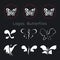 Set of vector graphic abstract vector logos of butterflies. Butterflies icon collection