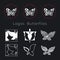 Set of vector graphic abstract vector logos of butterflies. Butterflies icon collection