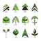 Set of vector graphic hand drawn stylized illustrations of trees. Decorative abstract collection of drawing icons, doodle style.