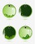 Set of vector green labels