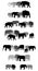 Set of vector group of elephants