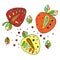 Set of vector hand drawn childish juicy, fruits. Cute childlike strawberry, leaves, seeds, drops. Doodle, sketch, cartoon style. L