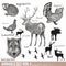 Set of vector hand drawn detailed forest animals