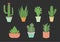 Set of vector hand drawn isolated cactus,Cute green cactus in flower ,illustrations.