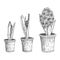 Set of vector hand drawn line art flowers. Spring hyacinth, grape hyacinth, crocus ink drawings for easter decor, garden