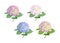 Set of vector highly detailed realistic illustration of hydrangea flowers isolated on white. Good for wedding floral design, greet