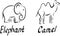 Set of vector icons of elephant and camel