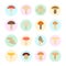 Set Vector Illustration of Mushrooms