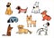 A set of vector illustrations with cute dogs of various breeds in a cartoon style, Corgi, Dalmatian, Labrador, Dachshund, Bulldog