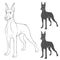 Set of vector illustrations with Doberman.