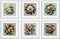 Set of vector illustrations of floral compositions in vintage style. Collection of flowers isolated in frames
