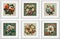 Set of vector illustrations of floral compositions in vintage style. Collection of flowers isolated in frames