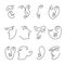Set of vector illustrations of human faces continous line